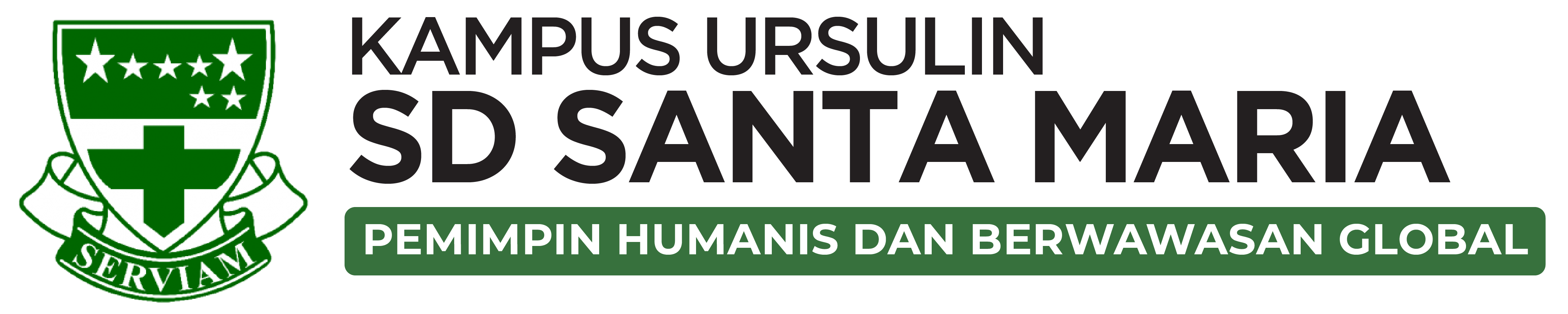 e-Learning SD Santa Maria